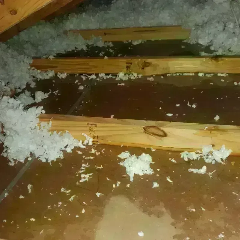 Attic Water Damage in Guilford County, NC