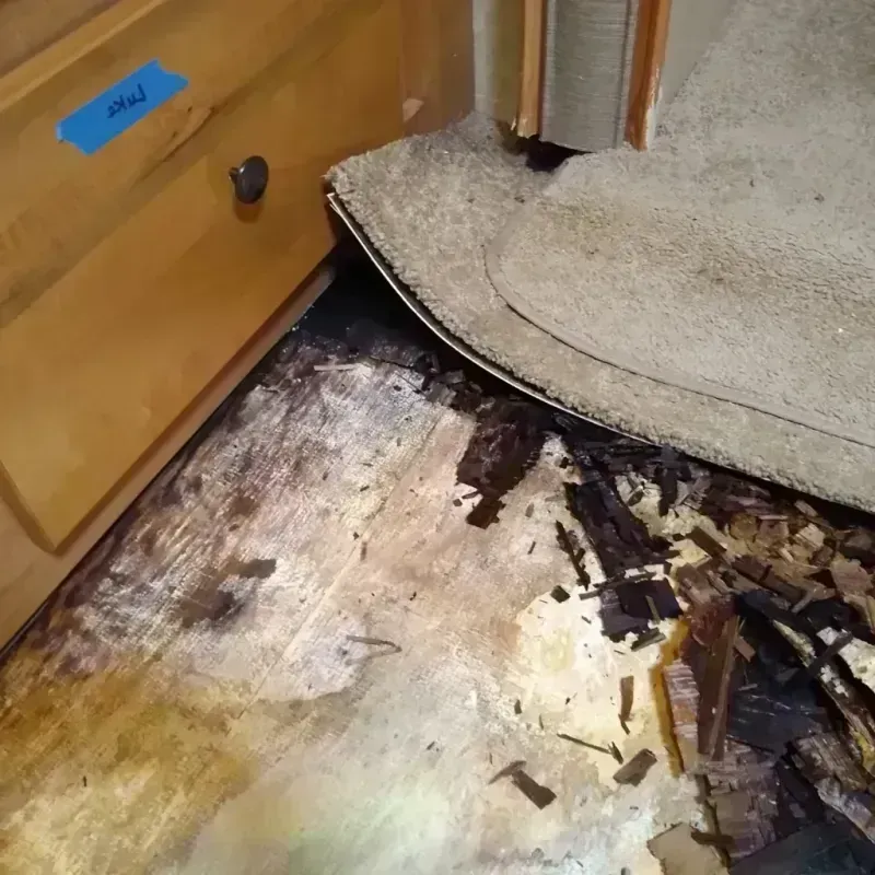 Wood Floor Water Damage in Guilford County, NC